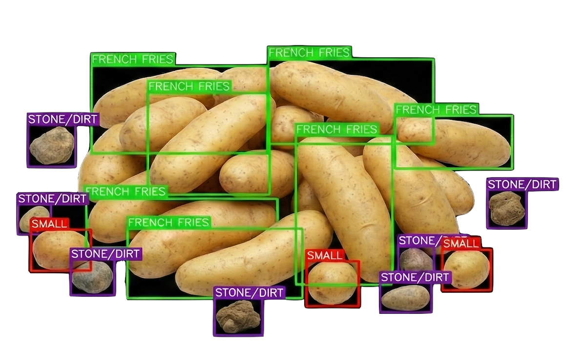 The French Fry Processor